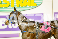 2025_PACEPIX_GP11072025_Race7_CopyCatQueen_WIN_WEB-16