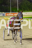 2025_PACEPIX_GP11072025_Race7_CopyCatQueen_WIN_WEB-17