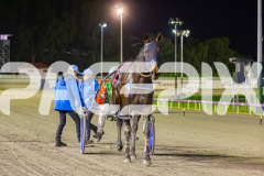 2025_PACEPIX_GP11072025_Race7_CopyCatQueen_WIN_WEB-21
