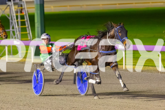 2025_PACEPIX_GP11072025_Race7_CopyCatQueen_WIN_WEB-3