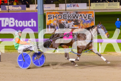 2025_PACEPIX_GP11072025_Race7_CopyCatQueen_WIN_WEB-5