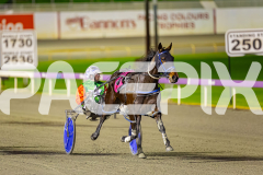2025_PACEPIX_GP11072025_Race7_CopyCatQueen_WIN_WEB-9