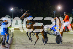 RACE 7 - Curadh