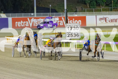 2025_PACEPIX_GP25112025_Race7_Curadh_WIN_WEB-10