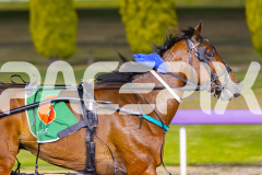 2025_PACEPIX_GP25112025_Race7_Curadh_WIN_WEB-16