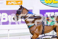 2025_PACEPIX_GP25112025_Race7_Curadh_WIN_WEB-19