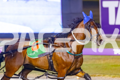2025_PACEPIX_GP25112025_Race7_Curadh_WIN_WEB-4