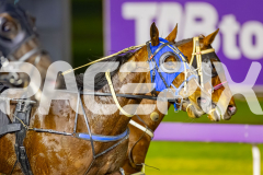 2025_PACEPIX_GP01082025_RACE7_DameValour_WIN_WEB-10
