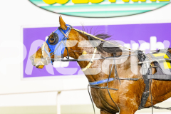 2025_PACEPIX_GP01082025_RACE7_DameValour_WIN_WEB-12