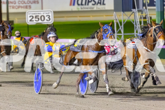 2025_PACEPIX_GP01082025_RACE7_DameValour_WIN_WEB-3