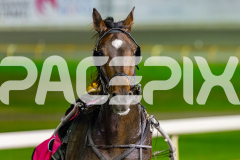 2026_PACEPIX_GP02062026_RACE7_Danger_WIN_WEB-17