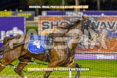 2026_PACEPIX_GP08092026_RACE7_DevilInDisguise_WIN_WEB-2