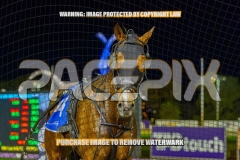 2026_PACEPIX_GP08092026_RACE7_DevilInDisguise_WIN_WEB-21