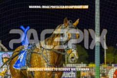 2026_PACEPIX_GP08092026_RACE7_DevilInDisguise_WIN_WEB-22