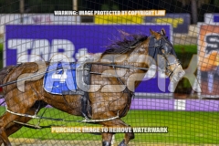 2026_PACEPIX_GP08092026_RACE7_DevilInDisguise_WIN_WEB-6