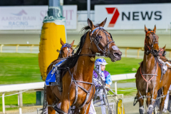2025_PACEPIX_GP11112025_RACE7_DiamondBay_WIN_WEB-10