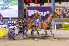 2025_PACEPIX_GP11112025_RACE7_DiamondBay_WIN_WEB-6