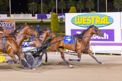 2025_PACEPIX_GP11112025_RACE7_DiamondBay_WIN_WEB-7