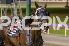 2026_GP13022026_RACE7_BetterEclipse_WIN_WEB-13