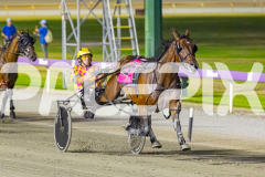 RACE 7 - Eldaytona