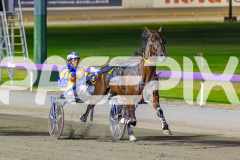 2026_PACEPIX_GP17032026_Race7_ElephantRock_WIN_WEB-10