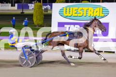 2026_PACEPIX_GP17032026_Race7_ElephantRock_WIN_WEB-13