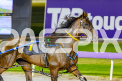 2026_PACEPIX_GP17032026_Race7_ElephantRock_WIN_WEB-16