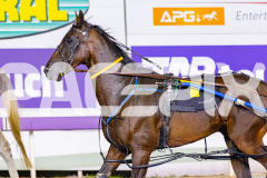 2026_PACEPIX_GP17032026_Race7_ElephantRock_WIN_WEB-19