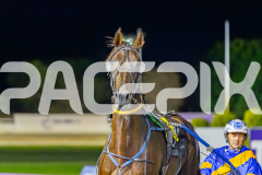 2026_PACEPIX_GP17032026_Race7_ElephantRock_WIN_WEB-20