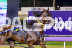 2026_PACEPIX_GP17032026_Race7_ElephantRock_WIN_WEB-4