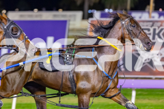 2026_PACEPIX_GP17032026_Race7_ElephantRock_WIN_WEB-7