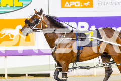 2026_PACEPIX_GP28022026_RACE7_FinalCollect_WIN_WEB-16