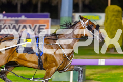 2026_PACEPIX_GP28022026_RACE7_FinalCollect_WIN_WEB-5