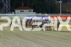 2026_PACEPIX_GP28022026_RACE7_FinalCollect_WIN_WEB-6
