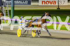 2026_PACEPIX_GP28022026_RACE7_FinalCollect_WIN_WEB-8