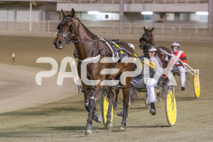 Flying-Flex_17-02-2026_WIN_Cloucester-Park_7__04