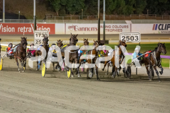 Flying-Flex_17-02-2026_WIN_Cloucester-Park_7__07