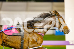 RACE 7 - Gee Heza Sport