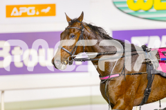2025_PACEPIX_GP23052025_Race7_GeeHezaSport_WIN_WEB-13