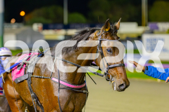 2025_PACEPIX_GP23052025_Race7_GeeHezaSport_WIN_WEB-15