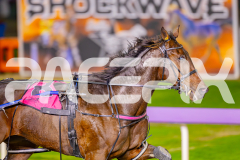2025_PACEPIX_GP23052025_Race7_GeeHezaSport_WIN_WEB-4
