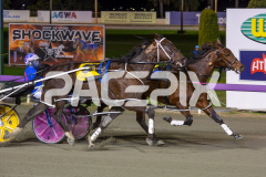 Gee-heza-Sport_15-08-2025_WIN_Gloucester-Park_7__05