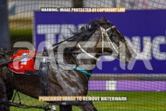 2026_PACEPIX_GP16102026_Race7_GrandCouteau_WIN_WEB-6