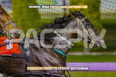 2026_PACEPIX_GP16102026_Race7_GrandCouteau_WIN_WEB-7