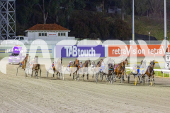 2025_Pacepix_GP31132025_Race7_HaleSaintLouie_WIN_WEB-1