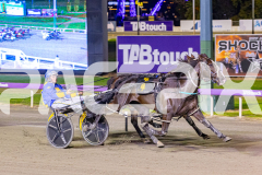 2025_Pacepix_GP31132025_Race7_HaleSaintLouie_WIN_WEB-6