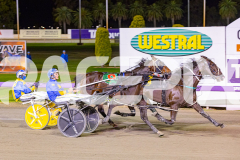 2025_Pacepix_GP31132025_Race7_HaleSaintLouie_WIN_WEB-7