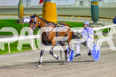 2026_PACEPIX_GP07042026_RACE7_HeavyMetalHammer_WIN_WEB-14