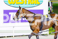 2026_PACEPIX_GP07042026_RACE7_HeavyMetalHammer_WIN_WEB-15