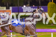 2025_PACEPIX_GP24102025_Race7_HerPresence_WIN_WEB-17